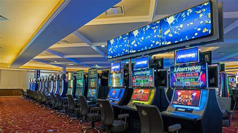 29 De Entretenimento De Casino