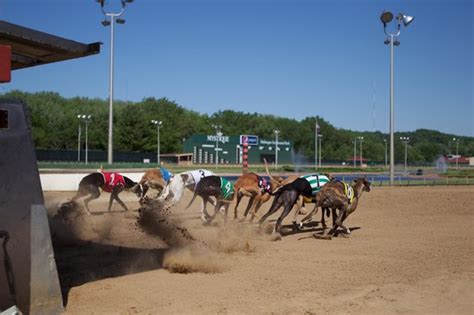 A Mistica Do Casino E Dubuque Greyhound Park