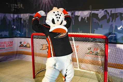 Anaheim Ducks Noite De Casino 2024