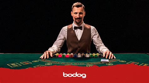 Apostas De Casino Frases