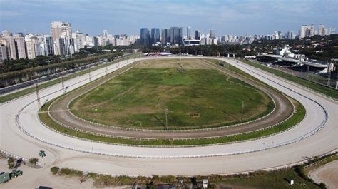 Apostas Em Corridas De Cavalos Sao Paulo