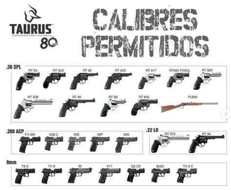 Armas Permitidas Nos Casinos