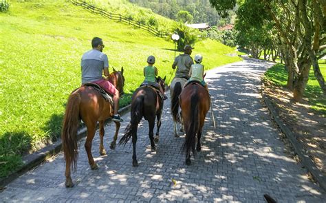 Badejo Fazenda Passeio De Poquer