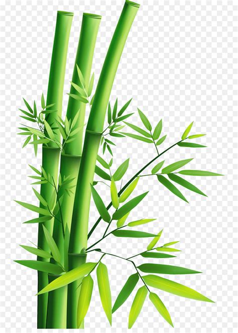 Bambu Panda Maquina De Fenda