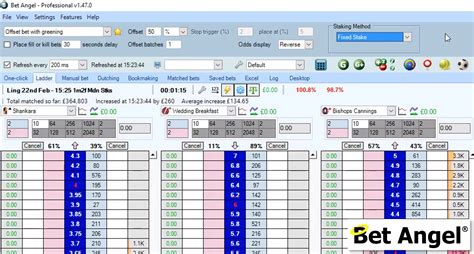 Bank Or Bust Betfair