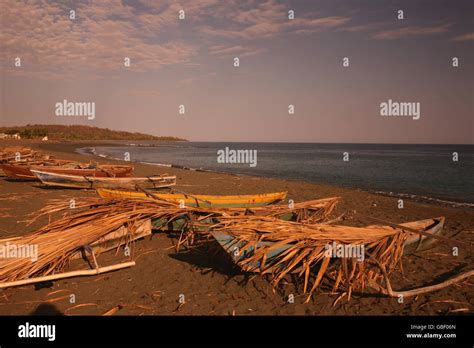 Beach Life Betano