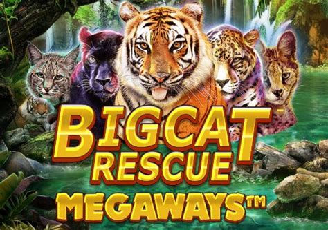 Big Cat Rescue Megaways Bodog