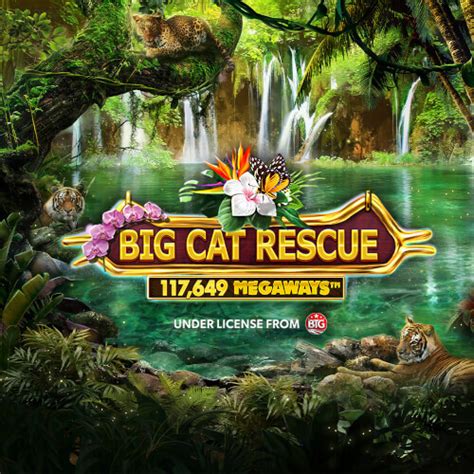 Big Cat Rescue Megaways Slot - Play Online