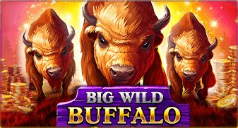 Big Wild Buffalo Betano