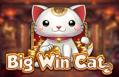 Big Win Cat 888 Casino