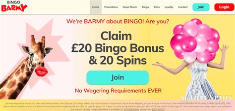 Bingo Barmy Casino Online