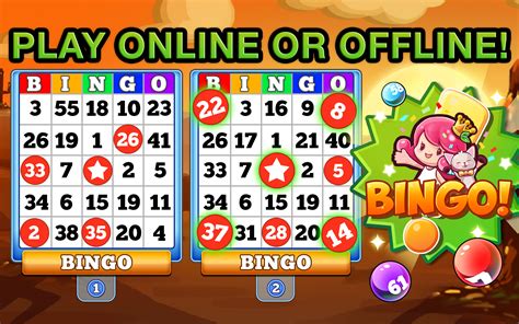 Bingo Bet Casino App