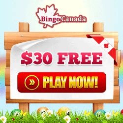 Bingocanada Casino El Salvador