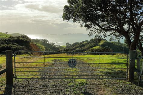 Blackjack Coromandel