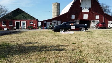 Blackjack Fazendas De Shelbyville Tn