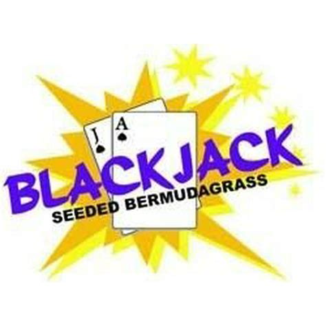 Blackjack Hibrido Bermudas