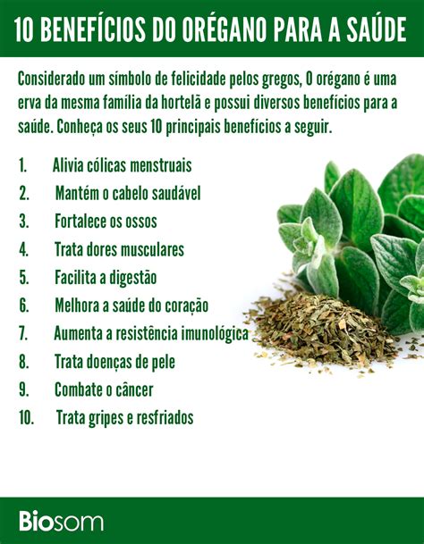 Blackjack Planta Beneficios Para A Saude