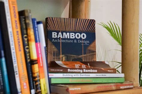 Book Of Bamboo Review 2024