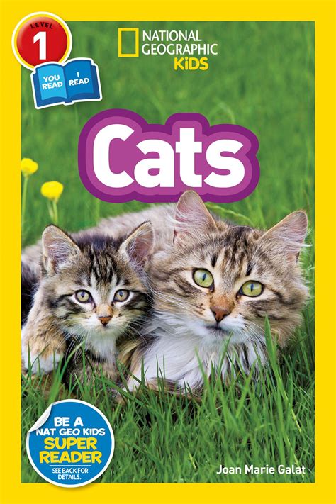 Book Of Cats Bet365