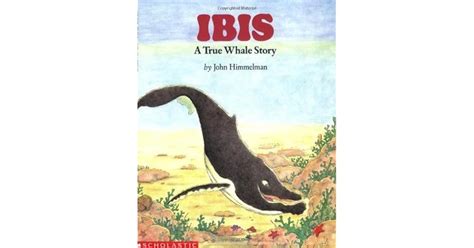 Book Of Ibis Blaze