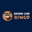 Brown Cow Bingo Casino Bonus