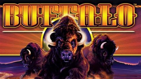 Buffalo Bet Casino Online