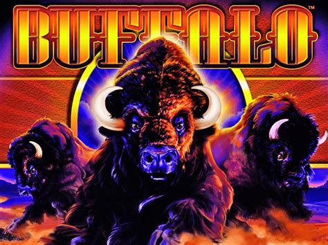 Buffalo Slots Vencedores