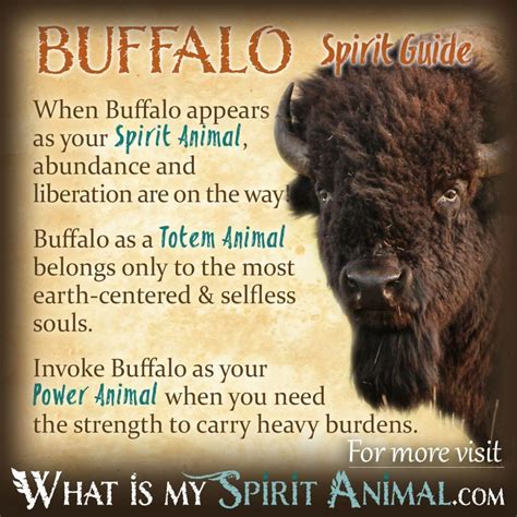 Buffalo Spirit Brabet