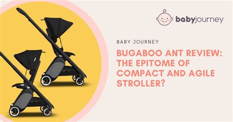 Bugaboo Review 2024