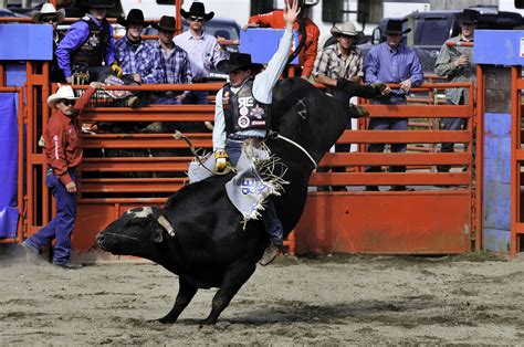 Bull In A Rodeo Betway