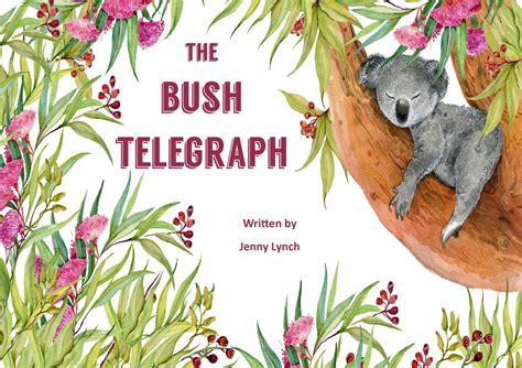 Bush Telegraph Netbet