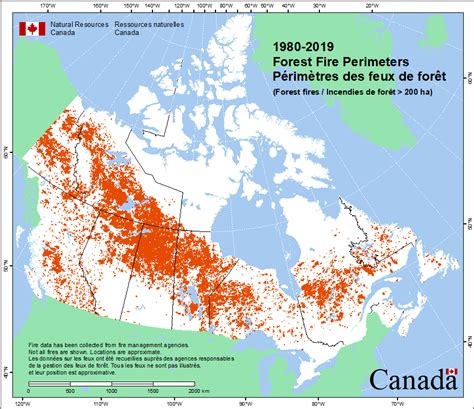 Canadian Wild Review 2024