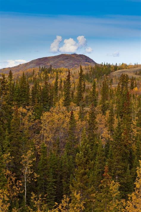 Casino De Cobre Projeto De Ouro De Yukon