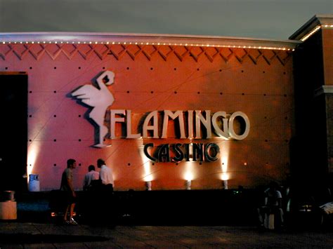 Casino Flamingo Merlo Horarios
