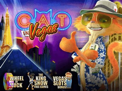 Cat In Vegas Bodog