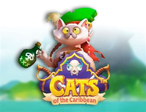 Cats Of The Caribbean Brabet