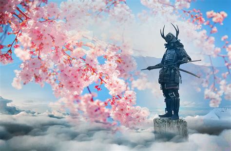 Cherry Blossom Samurai Brabet