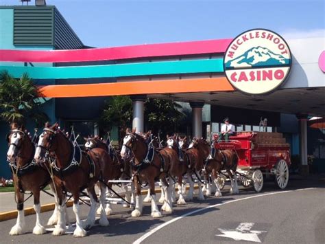 Clydesdale Casino Nsw