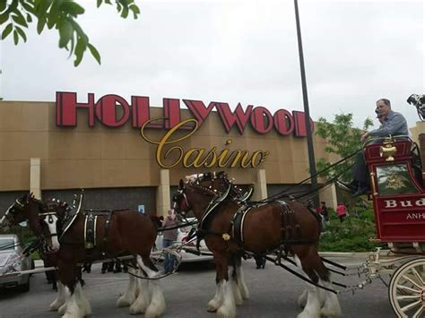 Clydesdale Hollywood Casino