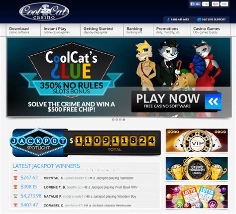 Cool Cat Casino Brazil