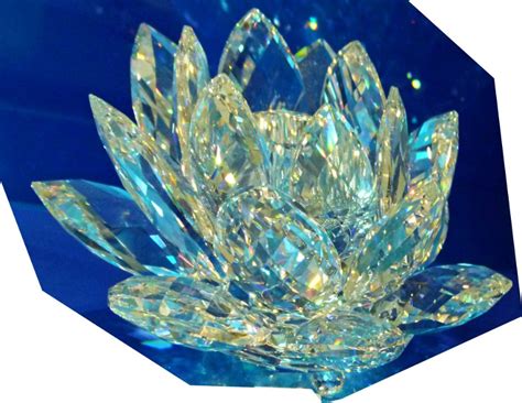 Crystal Lotus Bodog