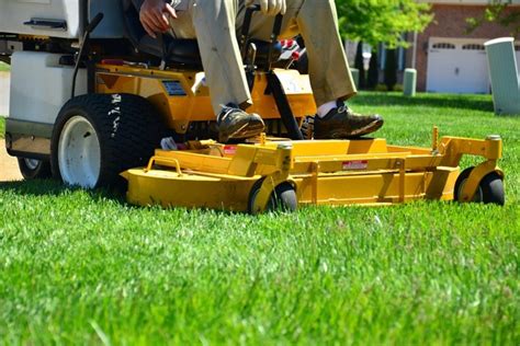 Cut The Grass Bodog