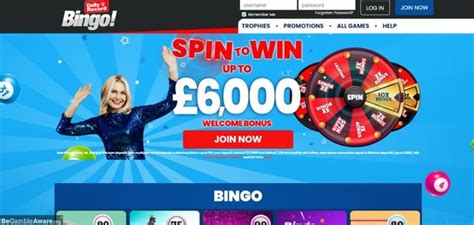 Daily Record Bingo Casino Login