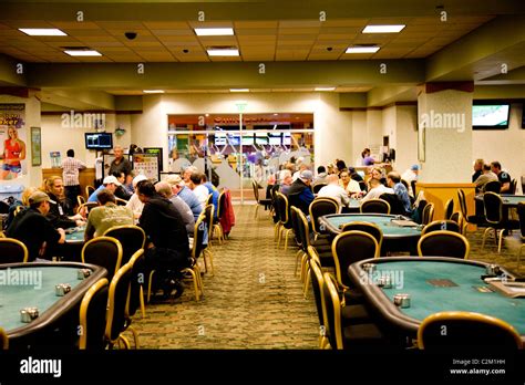 Daytona Sala De Poker E Kennel Clube