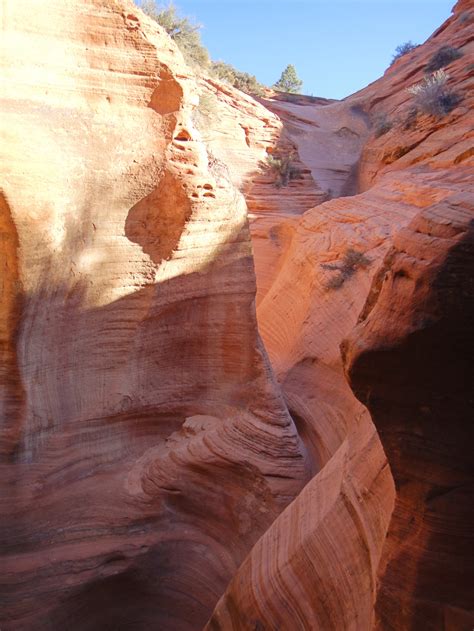 Diana S Trono Slot Canyon