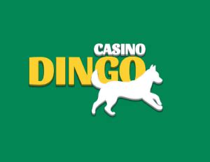 Dingo Casino Download