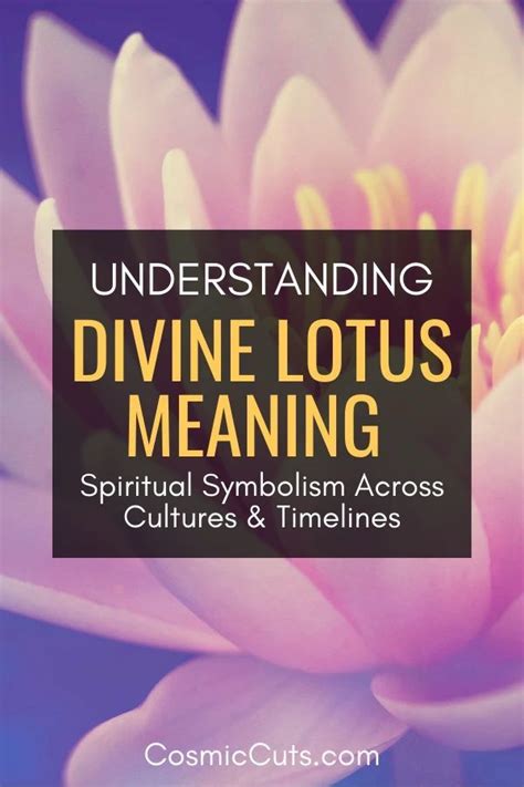 Divine Lotus Bwin