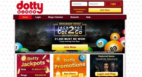 Dotty Bingo Casino Argentina