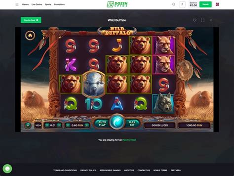 Dozenspins Casino Online
