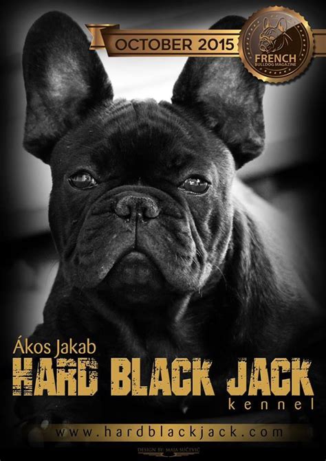 Fci Blackjack Phazer